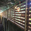 Trellis Panels