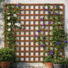Traditional Trellis