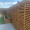 Trellis