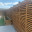 Trellis
