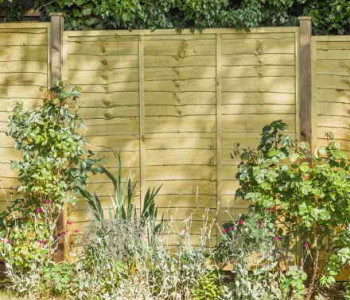 Waney Lap Fence Panels
