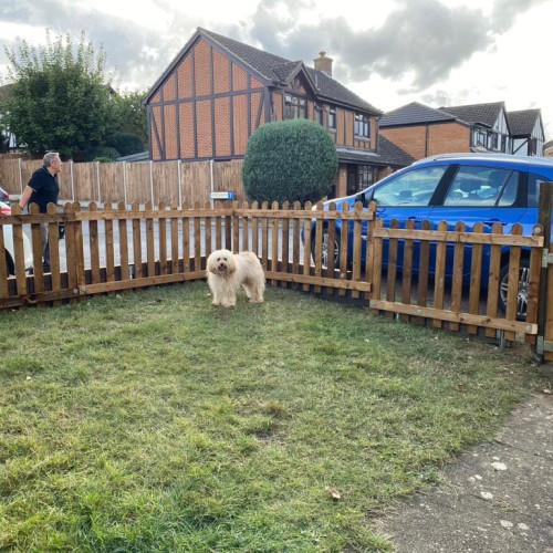 6FT x 3FT Round Top Picket Fence Panel - Pressure Treated Brown