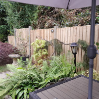 6FT x 5FT Closeboard Fence Panel - Pressure Treated Green