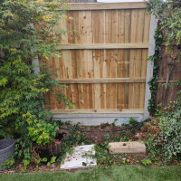 6FT x 6FT Closeboard Fence Panel - Pressure Treated Green