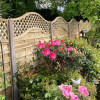 6FT x 5FT Omega Lattice Decorative Fence Panel - Pressure Treated Green