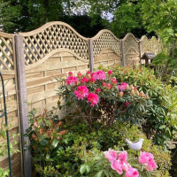 6FT x 5FT Omega Lattice Decorative Fence Panel - Pressure Treated Green