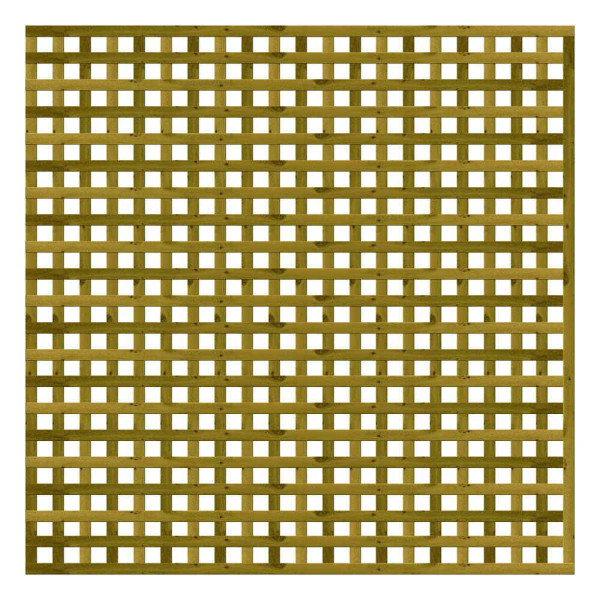 1.83M x 1.83M Privacy Square Trellis - Pressure Treated Green