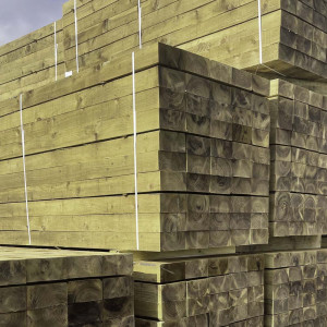 Pack of 50 - Green Railway Sleeper 100x200MM x 2.4M