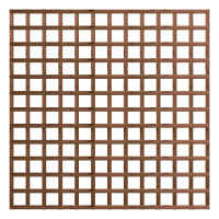 Traditional Trellis